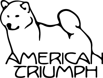 American Triumph Logo